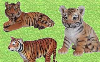 Tiger Ornaments